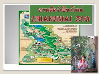 Chaingmai zoo