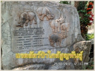 Chaingmai zoo