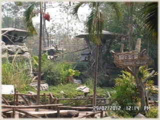 Chaingmai zoo