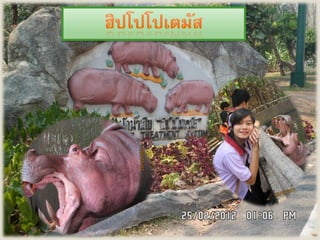 Chaingmai zoo