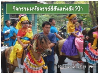 Chaingmai zoo