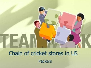 Chain of cricket stores in US
            Packers
 