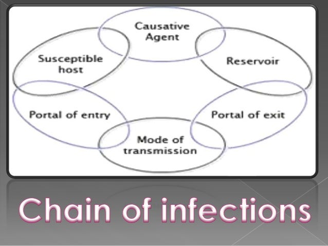 Chain of infection