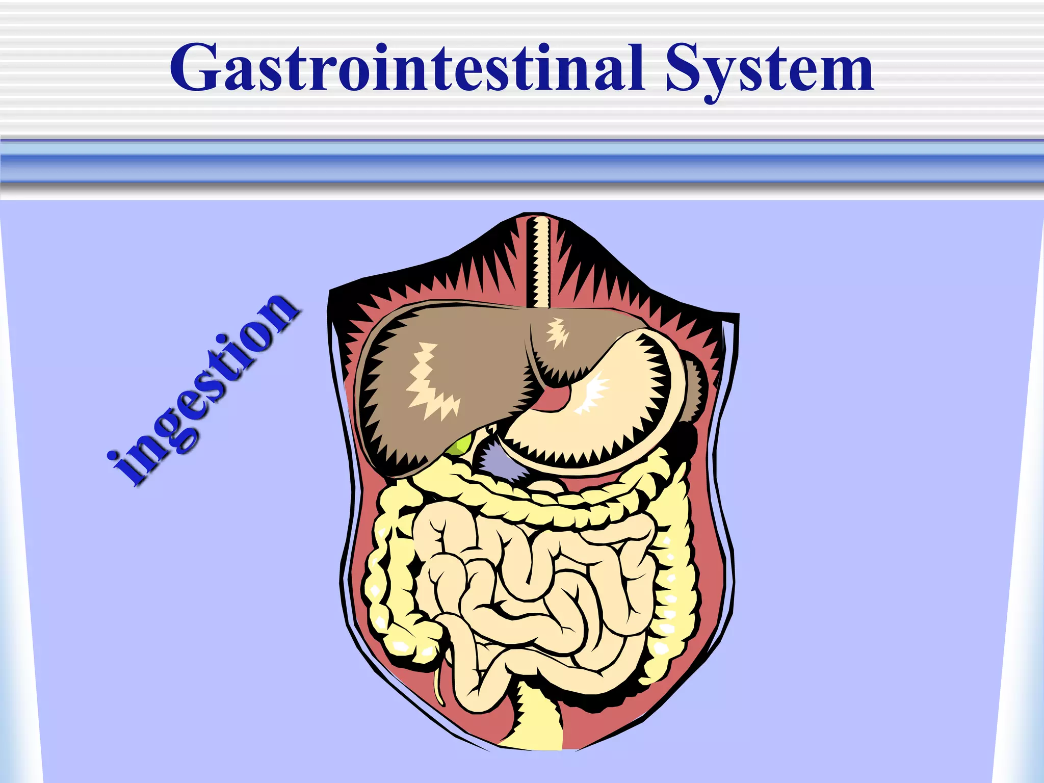 Gastrointestinal System
