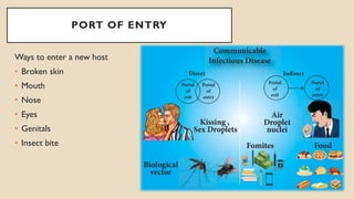 CHAIN OF INFECTION IN BIOSTATISTICS AND EPIDEMOLOGY | PDF