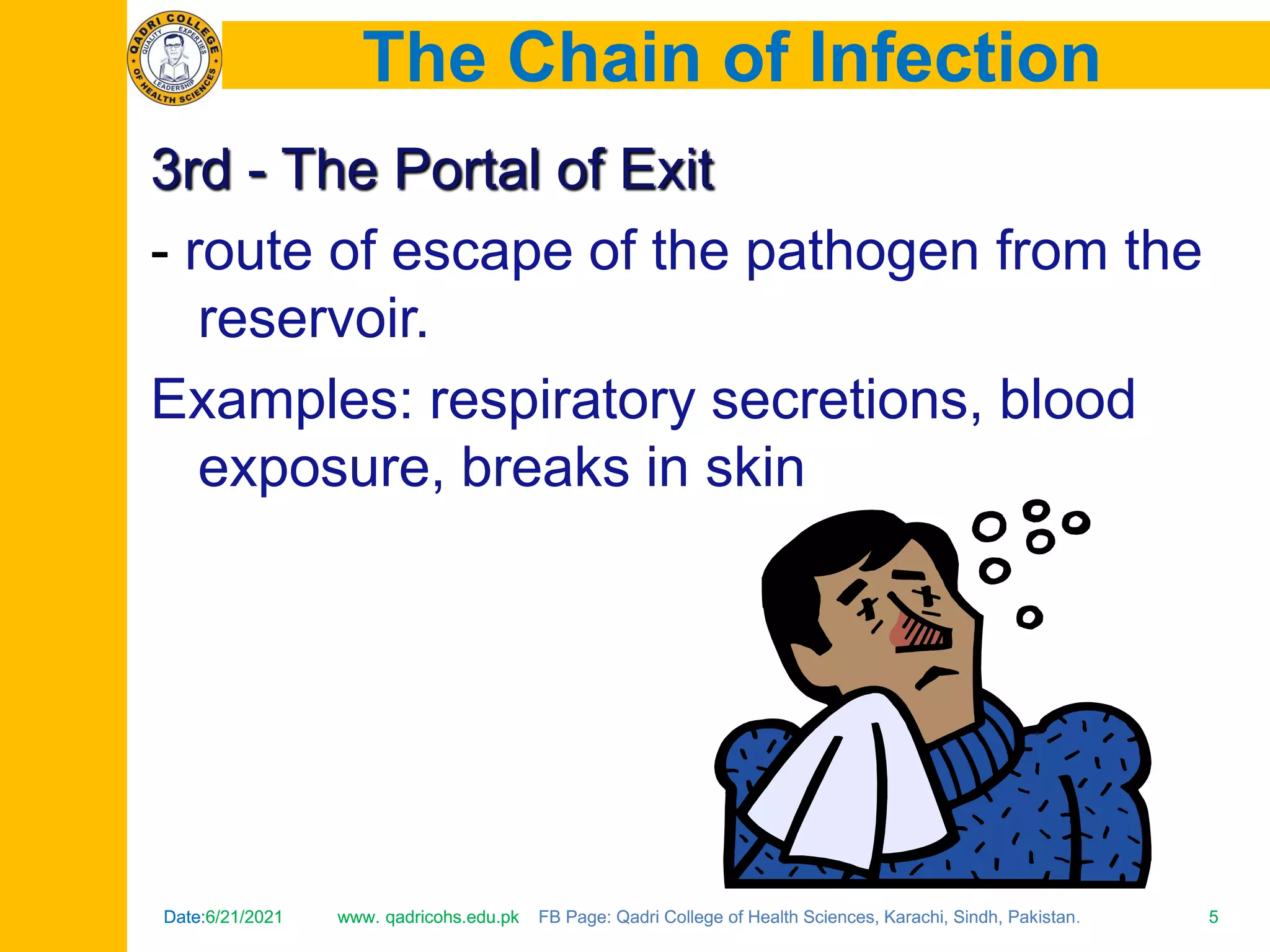 Chain of infection | PDF