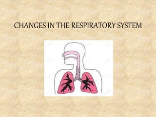 CHANGES IN THE RESPIRATORY SYSTEM
 