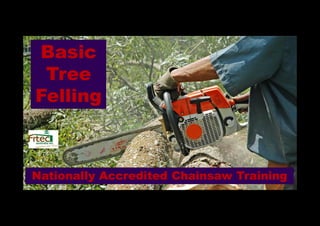Basic
 Tree
Felling



Nationally Accredited Chainsaw Training
 
