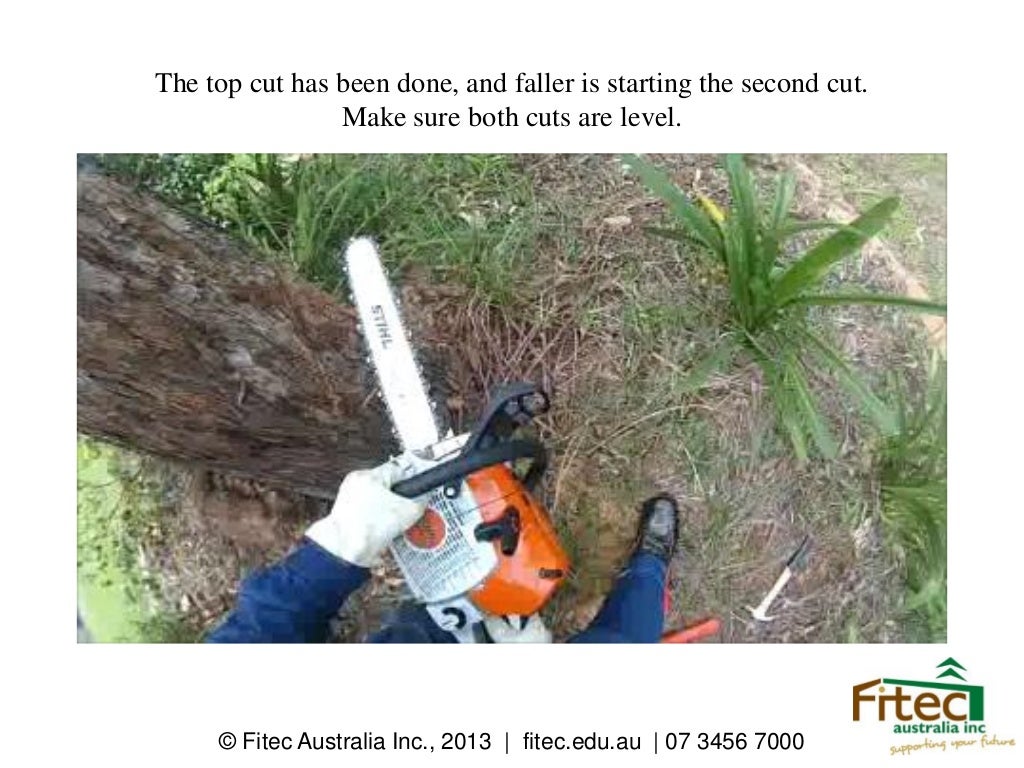 Chainsaw Ticket Tree Felling