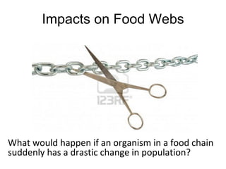 Impacts on Food Webs




What would happen if an organism in a food chain
suddenly has a drastic change in population?
 
