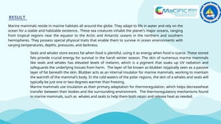Survival strategies of marine mammals in extreme environments a study ...