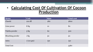 ECONOMICS Silkworm | PPTX
