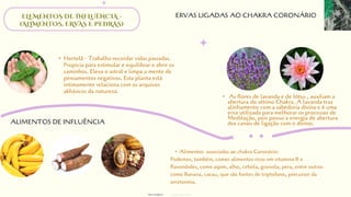 • As flores de lavanda e de lótus , auxiliam a
abertura do sétimo Chakra. A lavanda traz
alinhamento com a sabedoria divina e é uma
erva utilizada para melhorar os processos de
Meditação, pois possui a energia de abertura
dos canais de ligação com o divino.
ELEMENTOS DE INFLUÊNCIA -
(ALIMENTOS, ERVAS E PEDRAS)
• Hortelã - Trabalha recordar vidas passadas.
Propicia para estimular e equilibrar e abrir os
caminhos. Eleva o astral e limpa a mente de
pensamentos negativos. Esta planta está
intimamente relaciona com os arquivos
akhásicos da natureza.
• Alimentos associadas ao chakra Coronário:
Podemos, também, comer alimentos ricos em vitamina B e
flavonóides, como aipim, alho, cebola, graviola, pera, entre outros
como Banana, cacau, que são fontes de triptofano, precursor da
serotonina.
ERVAS LIGADAS AO CHAKRA CORONÁRIO
ALIMENTOS DE INFLUÊNCIA
designed by Orlando
fotos retiradas da
 