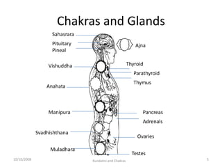 Chakras and Glands
                   Sahasrara
                   Pituitary                              Ajna
           ...