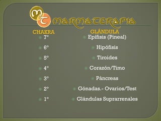 CHAKRA
 7º
 6º
 5º
 4º
 3º
 2º
 1º
GLÁNDULA
 Epífisis (Pineal)
 Hipófisis
 Tiroides
 Corazón/Timo
 Páncreas
 Gónadas.- Ovarios/Test
 Glándulas Suprarrenales
 