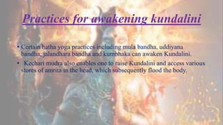 Practices for awakening kundalini
• Certain hatha yoga practices including mula bandha, uddiyana
bandha, jalandhara bandha and kumbhaka can awaken Kundalini.
• Kechari mudra also enables one to raise Kundalini and access various
stores of amrita in the head, which subsequently flood the body.
 