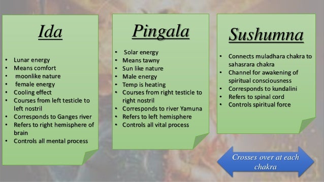 Chakras & kundalini