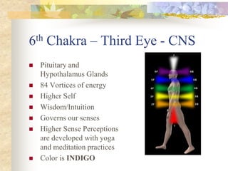 6th Chakra – Third Eye - CNS
   Pituitary and
    Hypothalamus Glands
   84 Vortices of energy
   Higher Self
   Wisdom/Intuition
   Governs our senses
   Higher Sense Perceptions
    are developed with yoga
    and meditation practices
   Color is INDIGO
 