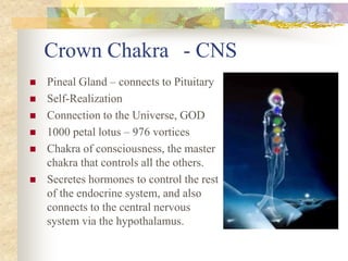 Crown Chakra - CNS
   Pineal Gland – connects to Pituitary
   Self-Realization
   Connection to the Universe, GOD
   1000 petal lotus – 976 vortices
   Chakra of consciousness, the master
    chakra that controls all the others.
   Secretes hormones to control the rest
    of the endocrine system, and also
    connects to the central nervous
    system via the hypothalamus.
 