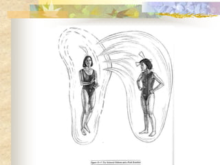 Chakra system  slide presentation