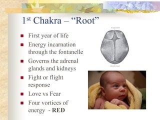 1st Chakra – “Root”
   First year of life
   Energy incarnation
    through the fontanelle
   Governs the adrenal
    glands and kidneys
   Fight or flight
    response
   Love vs Fear
   Four vortices of
    energy - RED
 