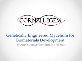 Genetically Engineered Mycelium for
Biomaterials Development
By Arun Chakravorty and Eric Holmes
 