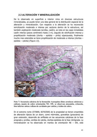 41
3.3 ALTERACIÓN Y MINERALIZACIÓN
De lo observado en superficie e interior mina en diversas estructuras
mineralizadas, se puede tener una idea general de la distribución espacial de la
alteración y mineralización. Con respecto a la alteración se ha reconocido
sericitización moderada a intensa por sectores dentro de la estructura, así
también argilización moderada (arcillas, caolín), se nota en las cajas inmediatas
caolín intenso (pocos centímetro hasta 2 m), seguido de silicificación intensa y
propilitización moderada (clorita – epidota – pirita) súperpuesta, finalmente
mucho mas extendida se tiene propilitización de moderada a intensa (cloritas –
epidota – calcita) (Figura 13).
Foto 7: Secuencia calcárea de la formación Acurquina (limo areniscas calcáreas y
calizas), manto de cobre orientación NE- SW, se observan atacamita, crisocola,
foto inferior nótese relleno de cavidades por calcita y óxidos de cobre.
En el extremo norte (575800, 82763500) de la propiedad se tienen ensambles
de alteración típicos de un skarn, como mármoles, granatitas (grosularia) de
gran extensión, desarrollo de anfíboles en las secuencias calcáreas de la fase
prograda y arcillas, venillas de calcita, cloritas-epidotas de la fase retrógrada. La
mineralización se ha observado en mantos de orientación NE – SW, está
Manto de cobre
Marmol
Textura carstica, disolución y
relleno por calcita y óxidos
de cobre.
 