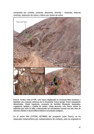 42
compuesta por covelita, crisocola, atacamita, tenorita – neotocita, texturas
carsticas, disolución de caliza y relleno por óxidos de cobre.
Foto 8: Arriba, vista al NW, veta Tauro emplazada en secuencia limo areniscas y
limolitas con cemento calcáreas de la formación Yauca (grupo Yura) sumamente
disturbadas. Abajo izquierda, secuencia de horfelns finamente laminados,
compactos, epidota y venillas de calcita. Abajo derecha, veta Tauro, nótese la
inflexión que sufre la falla, evidenciando un movimiento normal con una zona de
abertura donde se desarrollaron labores artesanales antiguas.
En el sector NW (577200, 8274800) del prospecto (veta Tauro), se ha
observado metamorfismo por metasomatismo de contacto, esto ha originado la
Zona de ExoSkarn
Traza veta Tauro
 