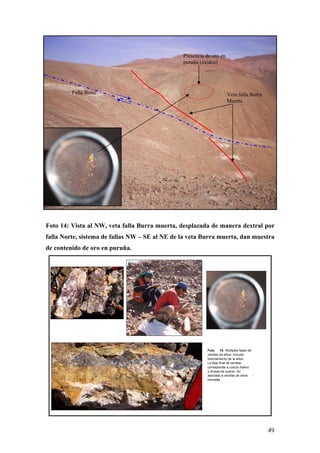 49
Foto 14: Vista al NW, veta falla Burra muerta, desplazada de manera dextral por
falla Norte, sistema de fallas NW – SE al NE de la veta Burra muerta, dan muestra
de contenido de oro en puruña.
Falla Norte Veta falla Burra
Muerta
Presencia de oro en
puruña (óxidos)
Foto 15: Múltiples fases de
venillas de sílice, incluido
brechamiento de la silice.
La fase final de venillas
corresponde a cuarzo hialino
y drusas de cuarzo. Au
asociado a venillas de sílice -
hematita
 