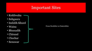 Chechar Chalcolithic Culture of Ganga-Yamuna Doab.pptx