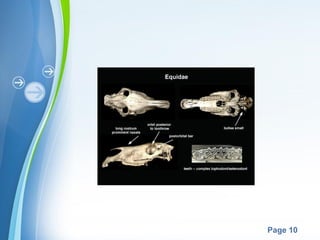 Powerpoint Templates
Page 10