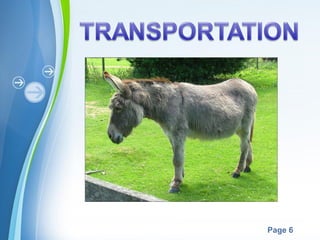 Powerpoint Templates
Page 6