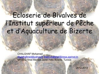 Ecloserie de Bivalves de
l’Institut supérieur de Pêche
et d’Aquaculture de Bizerte
CHALGHAF Mohamed
chalghafmed@yahoo.fr /med.chalghaf@iresa.agrinet.tn
BP,15 Errimel Menzel Jemil 7080 Bizerte; Tunisie
2012-2013
 