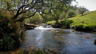 A RIVER RUNS THROUGH I.T. 