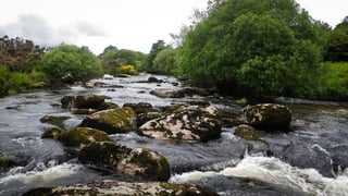 A RIVER RUNS THROUGH I.T. 