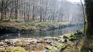 A RIVER RUNS THROUGH I.T. 