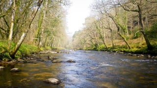 A RIVER RUNS THROUGH I.T. 
