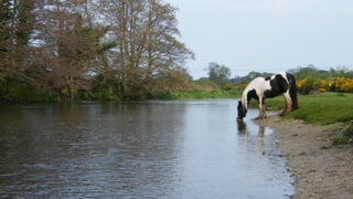 A RIVER RUNS THROUGH I.T. 