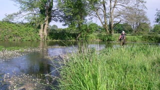 A RIVER RUNS THROUGH I.T. 