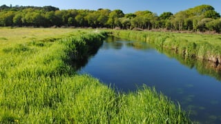 A RIVER RUNS THROUGH I.T. 