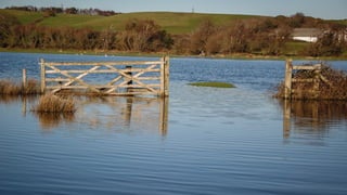 A RIVER RUNS THROUGH I.T. 
