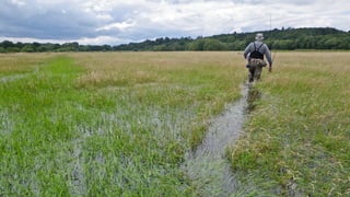 A RIVER RUNS THROUGH I.T. 