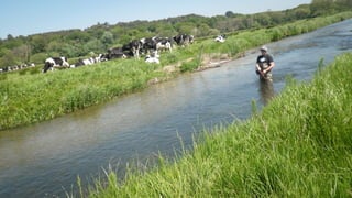 A RIVER RUNS THROUGH I.T. 