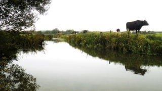 A RIVER RUNS THROUGH I.T. 