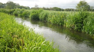 A RIVER RUNS THROUGH I.T. 