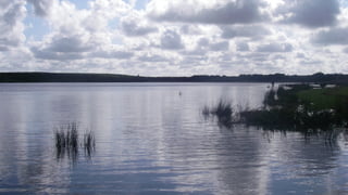 A RIVER RUNS THROUGH I.T. 