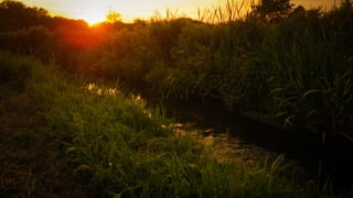 A RIVER RUNS THROUGH I.T. 