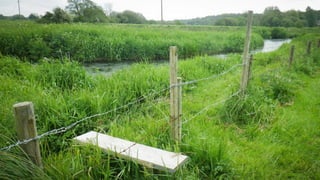 A RIVER RUNS THROUGH I.T. 