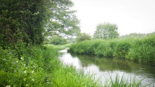 A RIVER RUNS THROUGH I.T. 