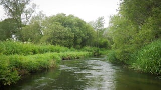 A RIVER RUNS THROUGH I.T. 